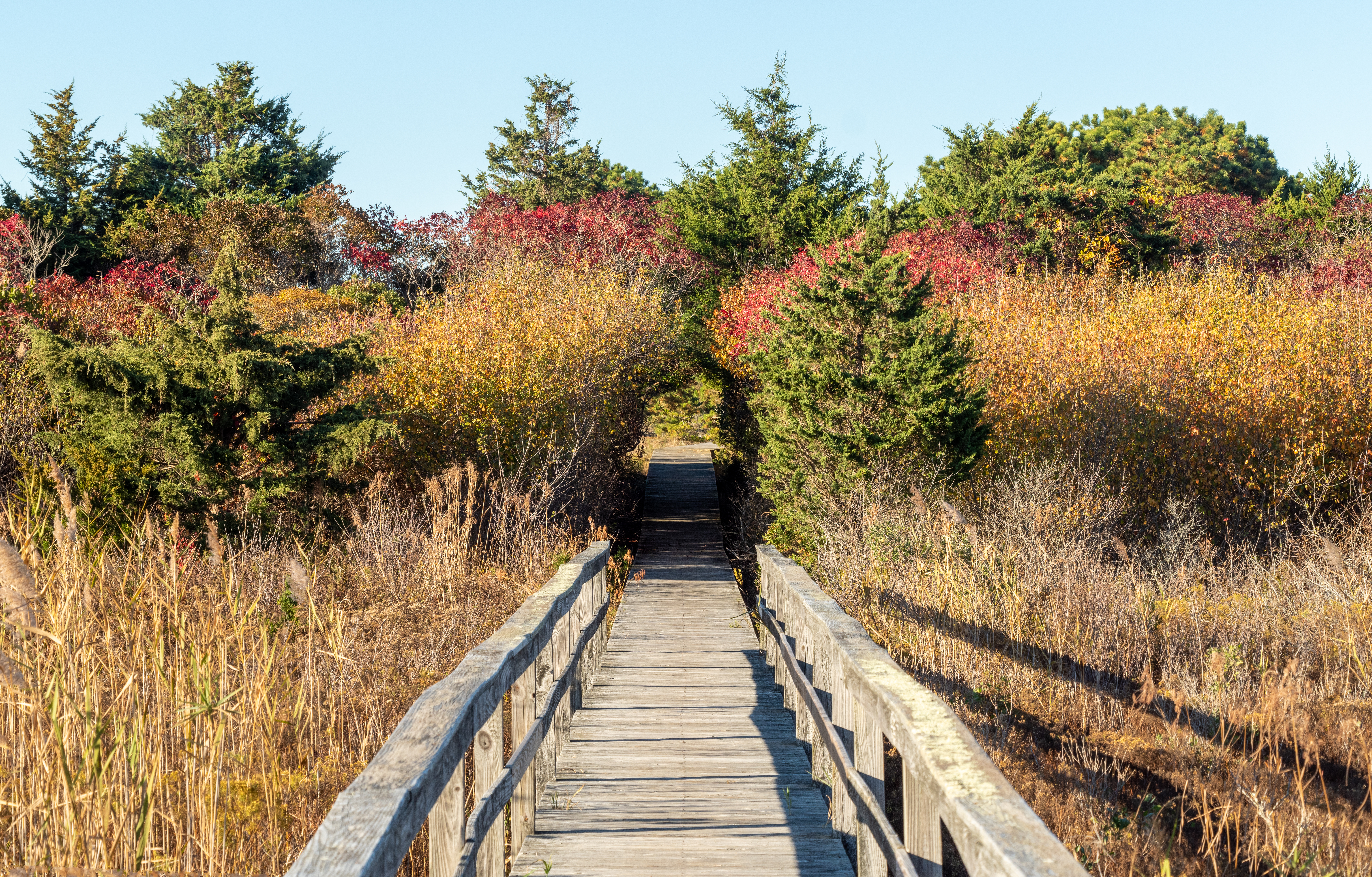 Osage Park